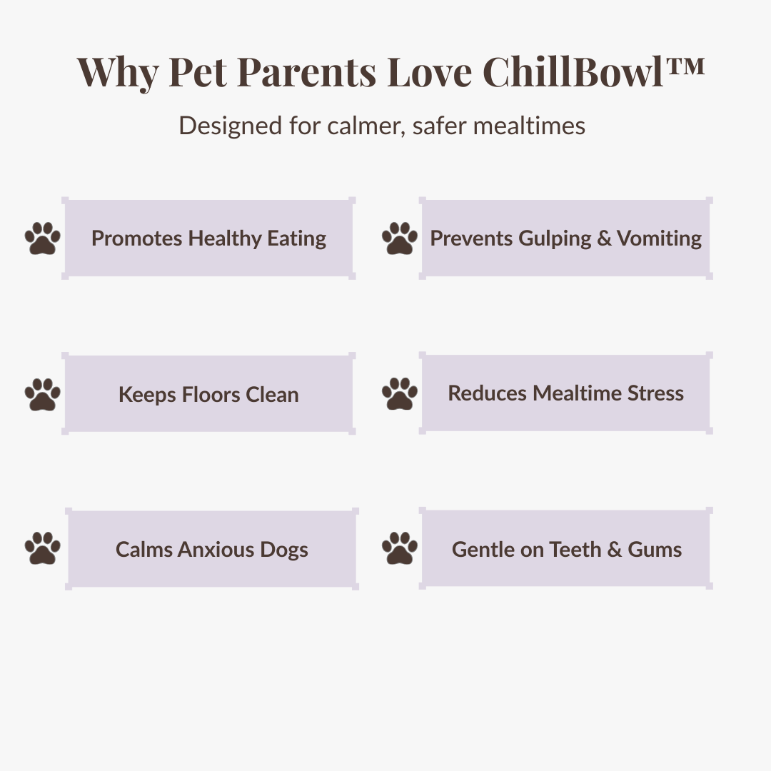 ChillBowl™ Lick Bowl