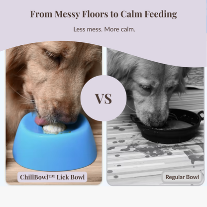 ChillBowl™ Lick Bowl